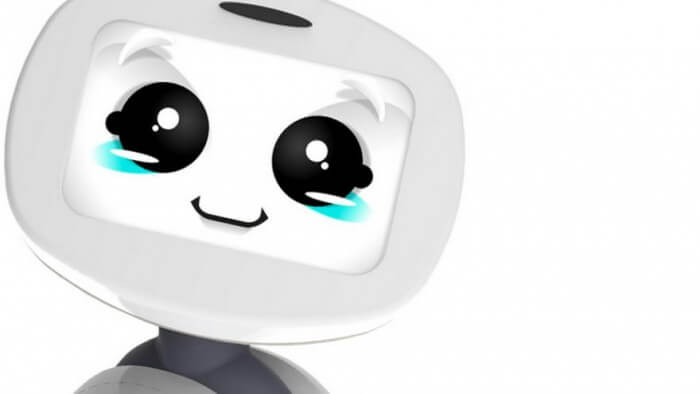 Buddy robot crowdfunding