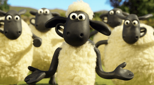sheeps mouton startup