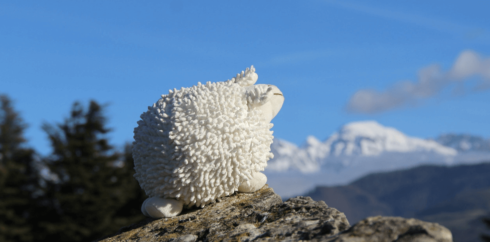 sheeps